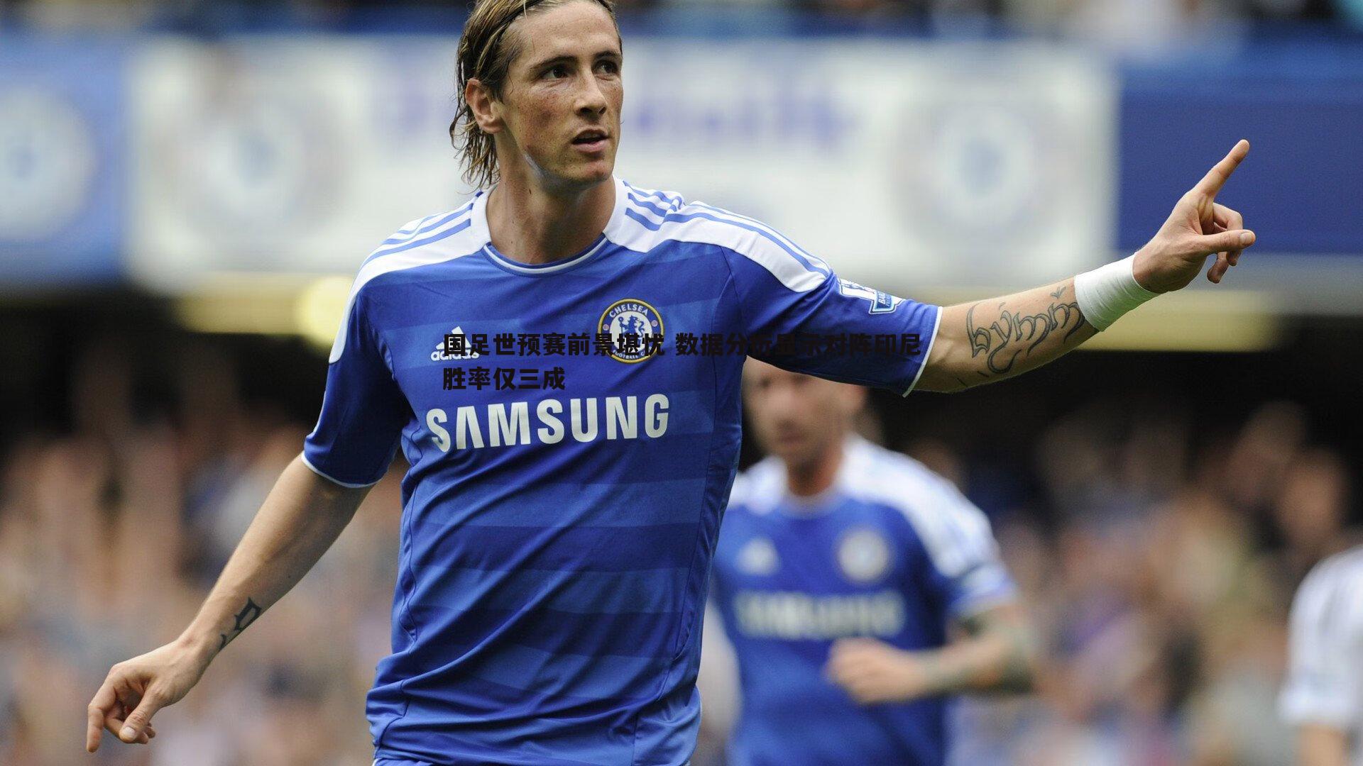 国足世预赛前景堪忧 数据分析显示对阵印尼胜率仅三成