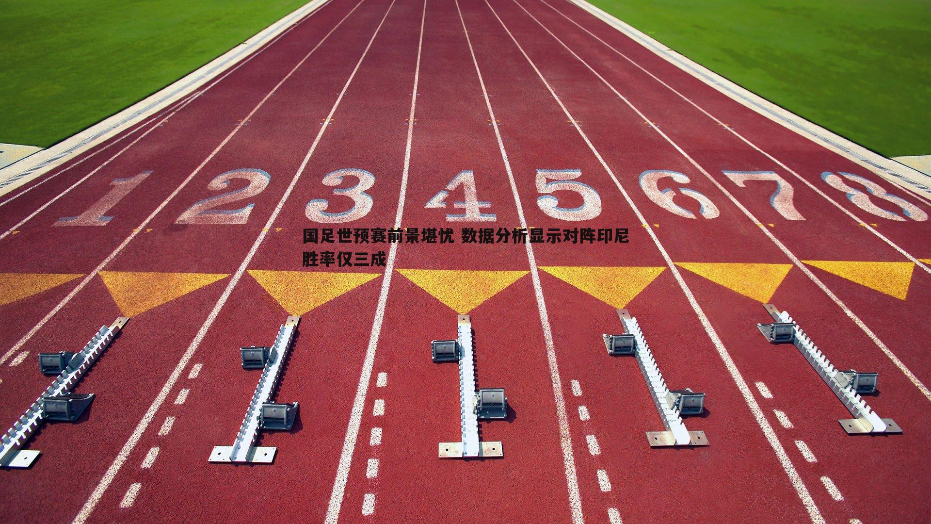 国足世预赛前景堪忧 数据分析显示对阵印尼胜率仅三成