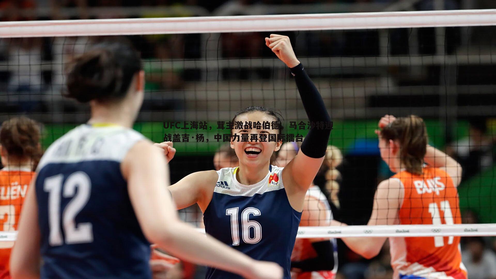 UFC上海站,茸主激战哈伯德,马合沙特迎战盖吉·杨,中国力量再登国际擂台